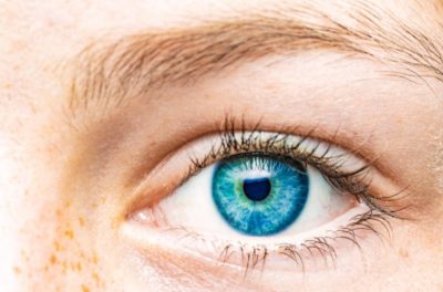 oeil oeil